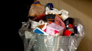 Junk Removal