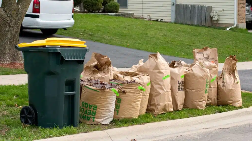 Yard Waste Removal