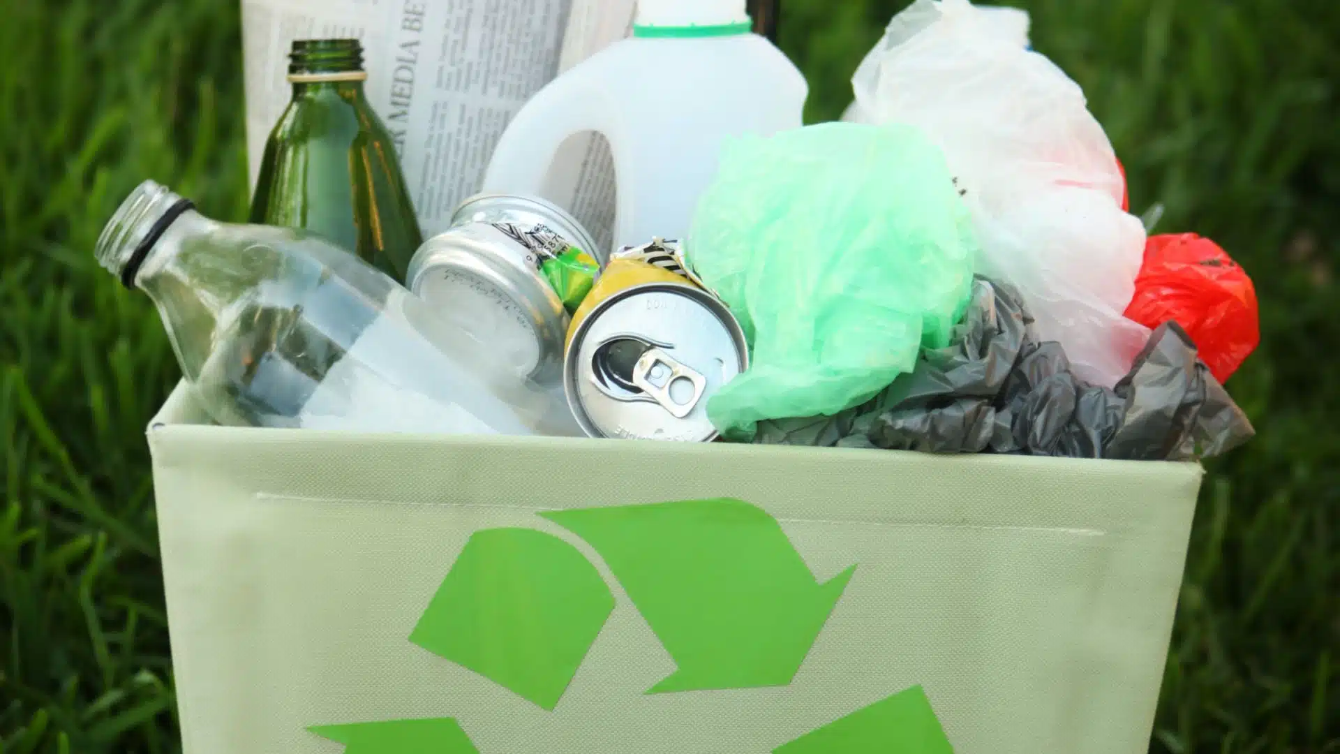 Junk Removal